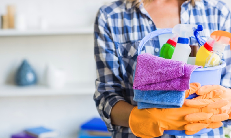 Exemplo de currículo para empregada domestica sem experiência