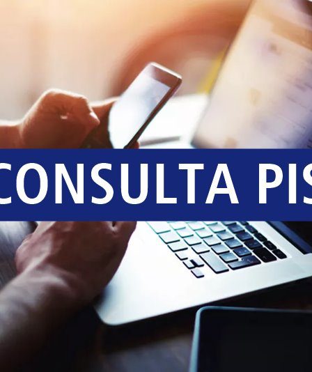 Consulta PIS Online e Por Telefone